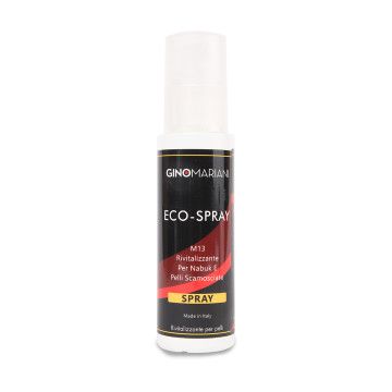 SHOES SPRAY