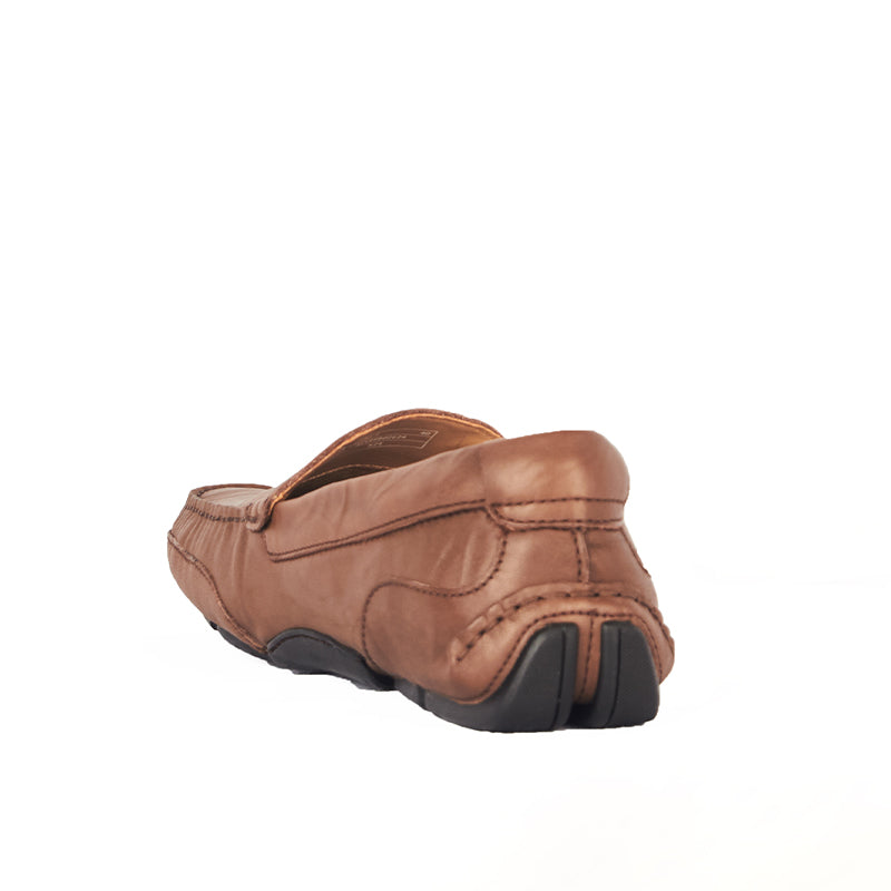 BARTOLI 7 BROWN