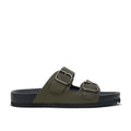 GAVINO OLIVE