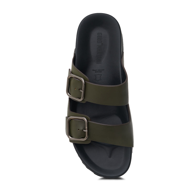 GAVINO OLIVE